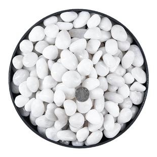 水培石子颗粒白色天然鹅卵石雨花白石子溪流石头造景水生植物固定