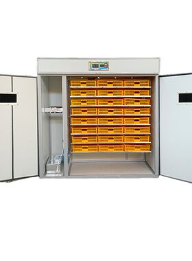 全自动家用智能大型孵化器