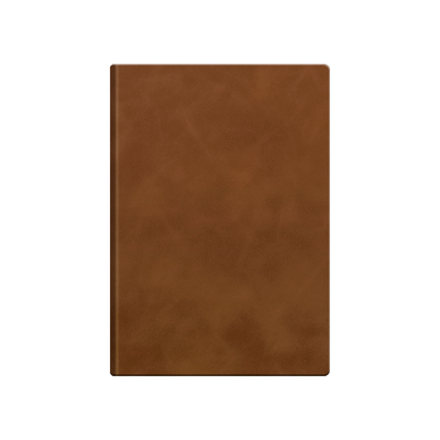 A5笔记本本子羊巴皮封面商务高档办公会议记录本加厚软皮精致高级记事本高颜值横线考研a5日记本平摊皮面绿色