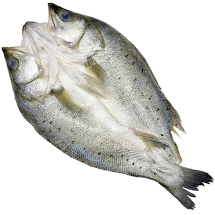 开背鲈鱼新鲜冷冻鲜活白蕉七星海鲈鱼清蒸鲈鱼已腌制纸包鱼3斤3条