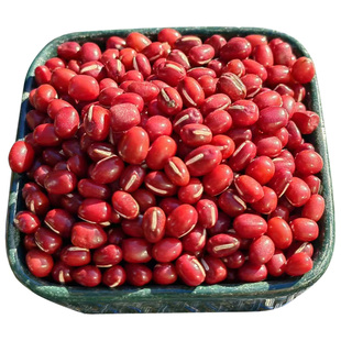 东北红豆农家自种东北红小豆新鲜货专用五谷杂粮熬粥做豆沙5斤