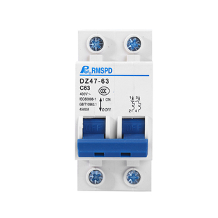 空气开关断路器两相电220VC45DZ471P2P3P4P63A短路过载保护器家用