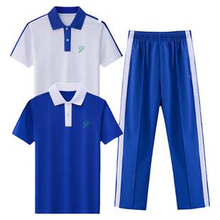 深圳校服小学生夏装速干索罗娜凉感特版短袖薄款夏长裤男女生套装