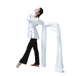 长款水袖舞蹈服专业古典舞训练功仿真丝甩袖戏曲演出服白色艺考