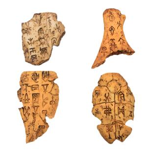硬树脂甲骨文仿真小摆件龟甲兽骨古文字化石儿童认知早教玩具模型