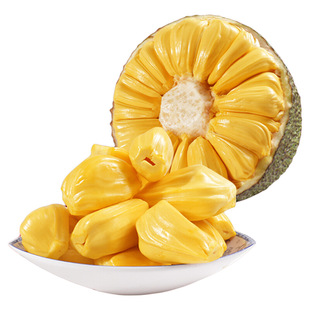 海南菠萝蜜当季特产新鲜水果一整个黄肉木波罗蜜包邮香蕉热带果肉