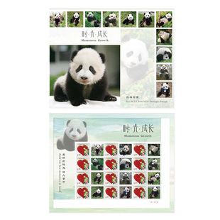 pandapia熊猫文创《时光·成长》邮折 大雁邮票 收藏纪念品 礼品
