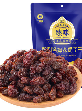 臻味智利提子干袋装100g