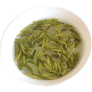 春茶开园头采 2025宁海精品望海茶乌牛早头芽500克宁波特产明前茶