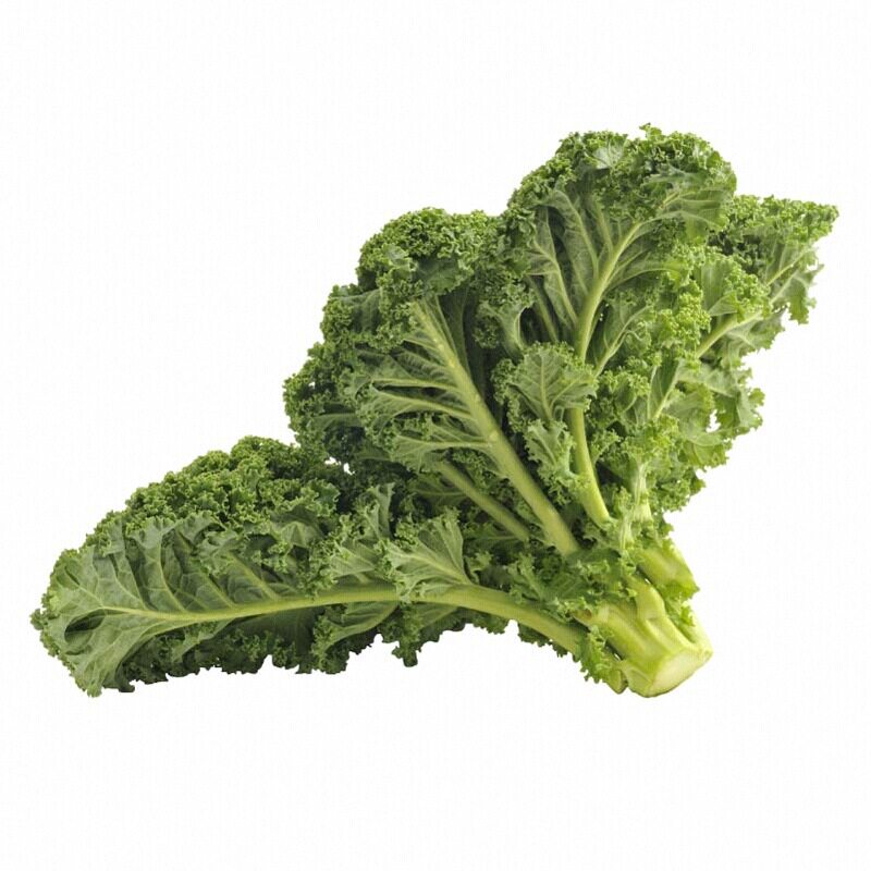 超耐寒绿羽衣甘蓝苗秧紫粉羽衣甘蓝种子营养冠军观赏食用超级蔬菜