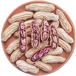 七彩花生米云南特产带壳晒干2025花生种粒熟原味咸干五彩新鲜健康