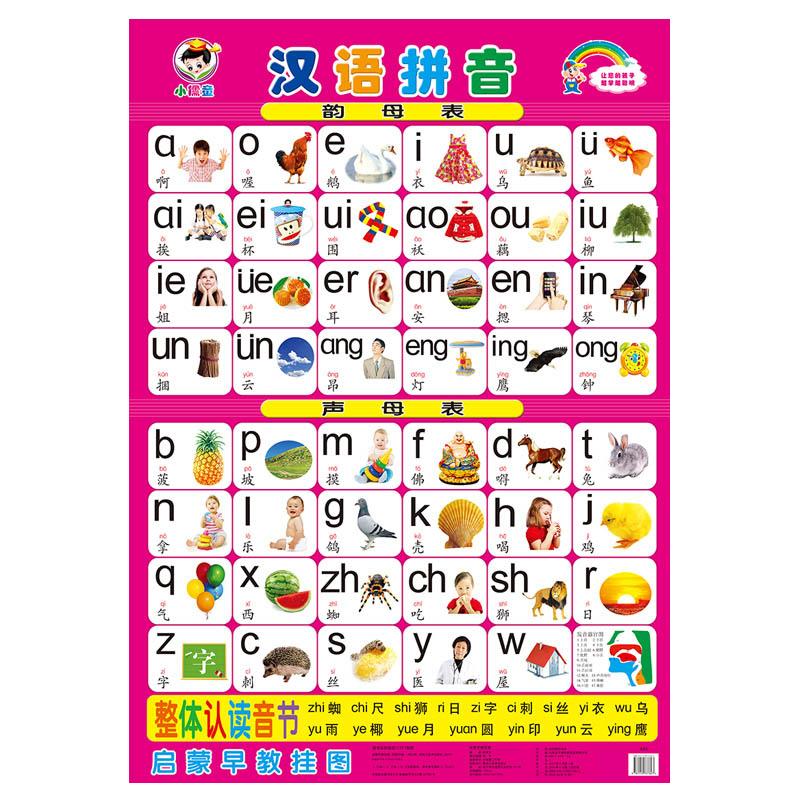 无声婴儿认识墙贴启蒙玩具挂图