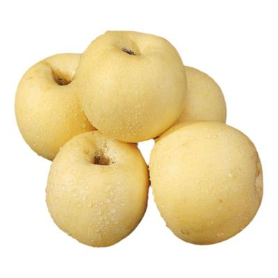 正宗山东烟台黄金奶油富士白色丑苹果当季有果绣新鲜水果应季整箱