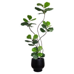 中古风仿真植物琴叶榕落地盆栽室内大型仿生绿植摆件客厅轻奢装饰