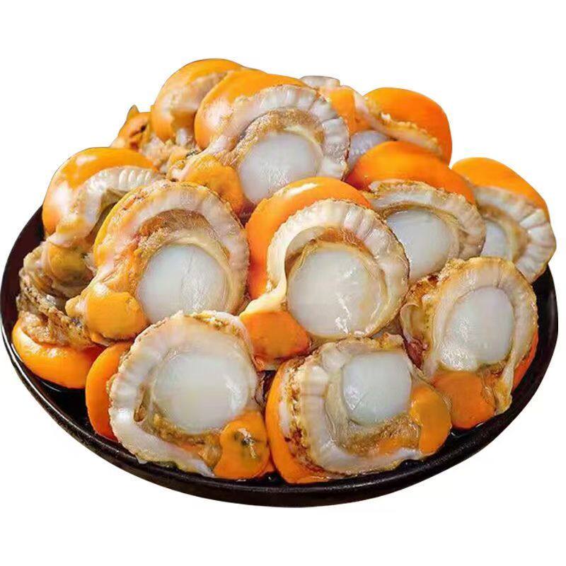 特大扇贝肉新鲜冷冻带黄海鲜红贝烧烤商用蒜蓉粉丝扇贝肉整箱批发
