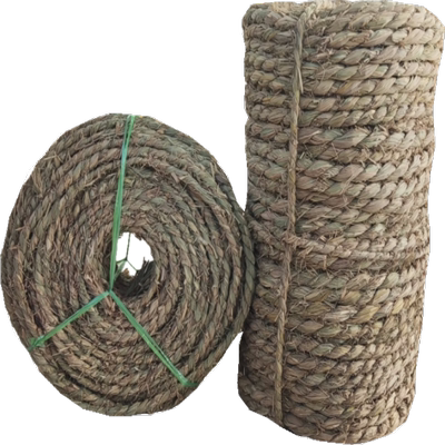 草绳捆绑树木移栽包扎土球保湿