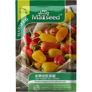 水果彩虹甜椒种子种苗红黄橙渐变盆栽蔬菜甜脆无辣甜脆阳台C048