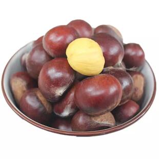 2025年信阳新鲜黄心油栗板栗生板栗栗子老树油栗甜面毛栗糖炒栗子