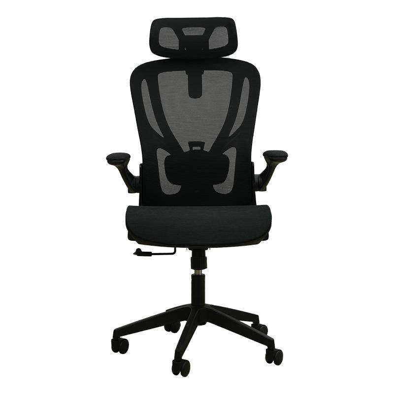 ��ѧ ��ͯѧϰ�� Сѧ������������ ��������д������ ѧϰר������ 179Ԫ(����ȯ)