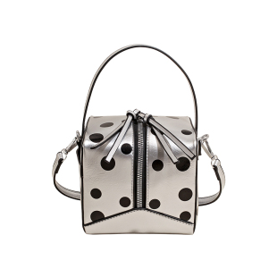 迷你波点手拎包包女款2026新款春季高级感小众银色单肩斜挎盒子包