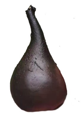 纯野生乌灵参雷震子茯苓灵芝