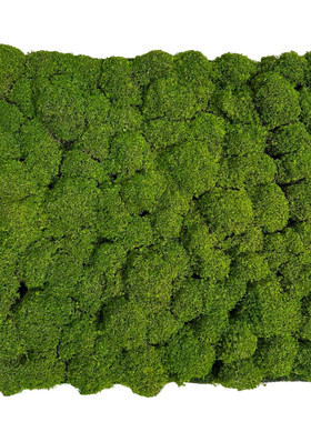 室内苔藓草坪软装景观造景摆放