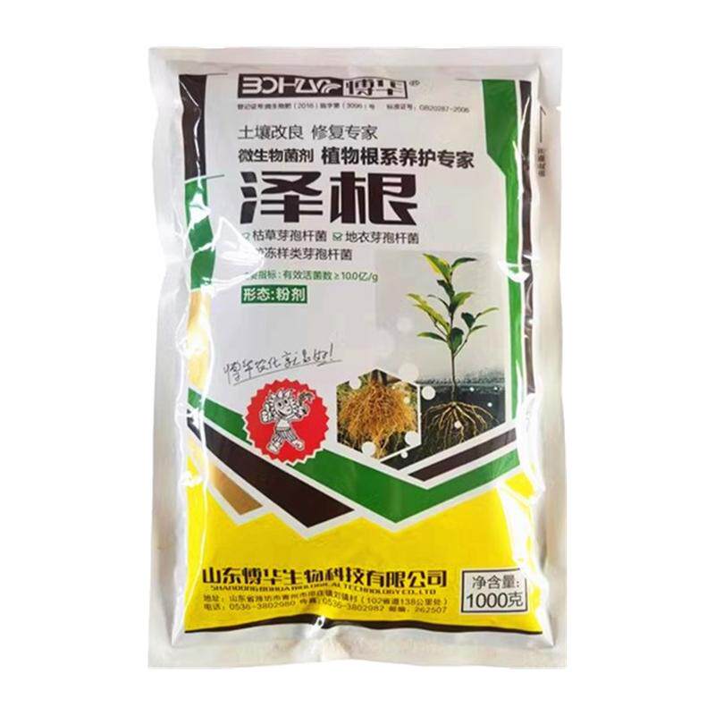 泽根枯草芽孢杆菌地衣胶冻样芽孢杆菌改良土壤根腐净化水质除臭剂