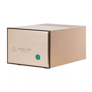 直刻FM111线路单声道分体式大功率放大器hifi发烧功放机家用后级