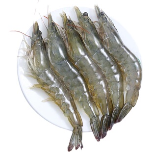 山东青岛盐冻大虾鲜活冷冻超大 203040海洋盐田大虾盒装鲜活海捕
