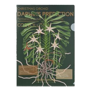 daparo yeung风兰长喙天蛾文件夹设计师手绘原画a4资料夹文具礼物