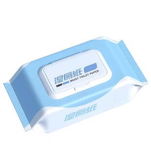 2包湿厕纸大包家用私处清洁湿纸巾便携式温和去污擦屁屁专用