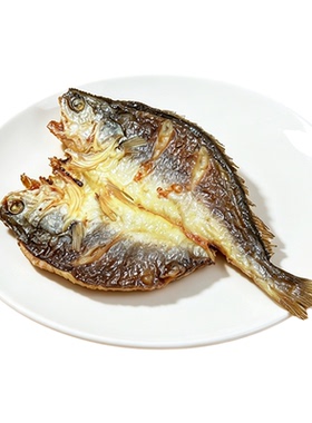 仿真鱼模型道具食物装饰