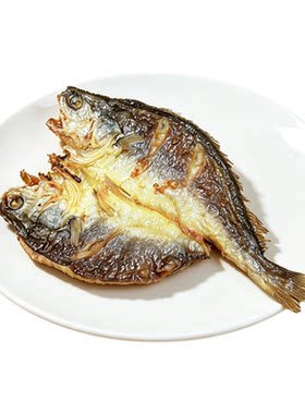 仿真鱼模型道具食物装饰