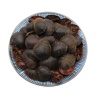 土鳖虫中药材土元中华土鳖子水洗无土地鳖粉干货天然无添加500g克