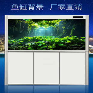 鱼缸背景纸高清图热带雨林贴画水族箱鱼缸静电贴免胶喷水外贴