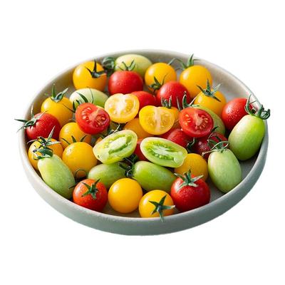 春沐源三色樱桃番茄三拼爽口顺丰