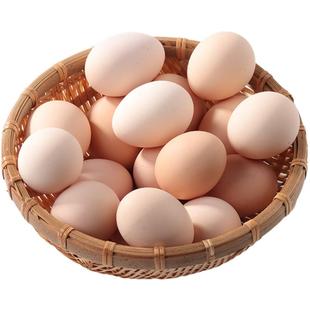 农村山林散养土鸡蛋新鲜现捡现发笨鸡蛋农家散养柴鸡蛋林间鸡蛋