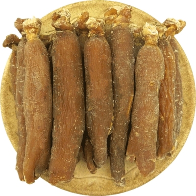 红参棒人参高丽参泡酒