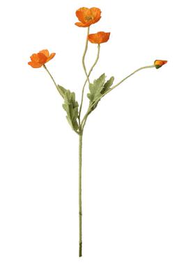 仿真花态生活绢花干花罂粟花