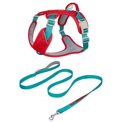 ZOOLAND小中大型专用宠物牵引绳