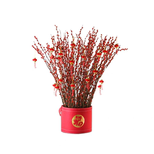 红色银柳真花鲜枝干花花束客厅摆件抱抱桶福桶鲜花年宵花花卉绿植