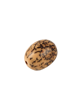 天然蜜瓜菩提原籽打磨散珠