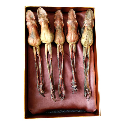 礼盒装雪蛤干长白山滋阴美容女性