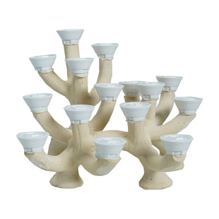 40-50海水缸造景石海缸用品水族养鱼摆件景观岩石装饰