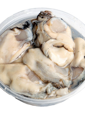 大连特产生蚝肉海蛎子肉新鲜原浆当天现剥去壳贝类顺丰250g