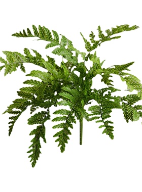 仿真蕨类绿植庭院橱窗墙软装摆件