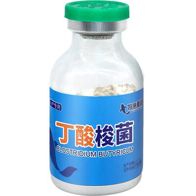 丁酸梭菌水产牧渔重源调节胃肠道