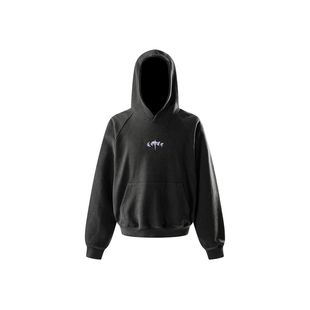 (TBHNP) theboyhasnopatience 曙光辉月基础插肩植绒卫衣连帽口袋