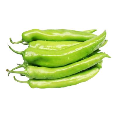 大果羊角辣椒苗秧苗特大牛角椒青椒黄皮尖椒苗高产春季蔬菜苗种孑