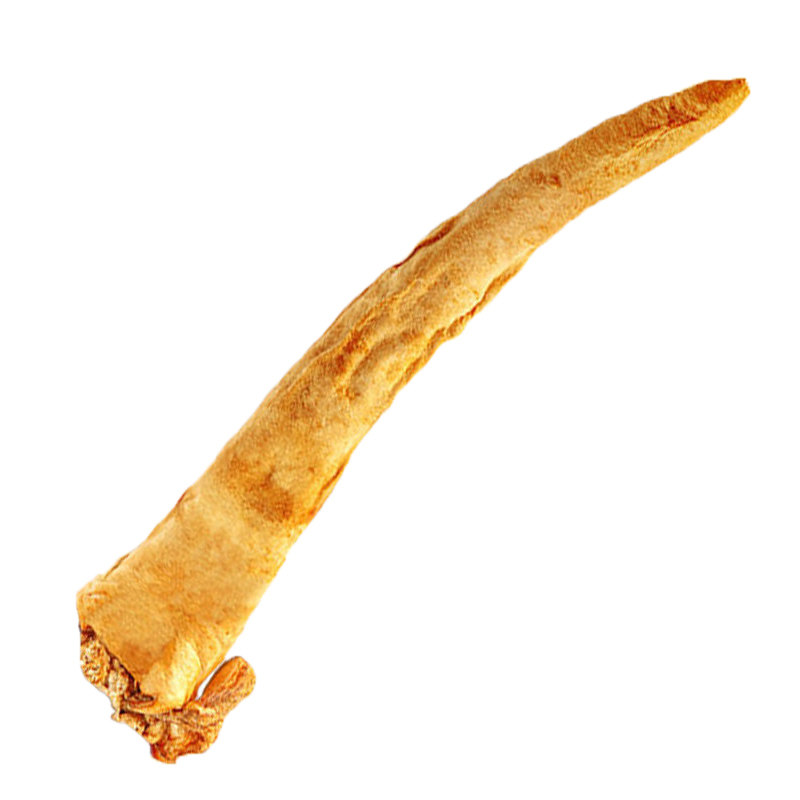 狗狗零食烘烤大牛尾磨牙棒牛尾骨